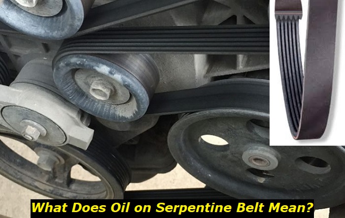 oil on serpentine belt